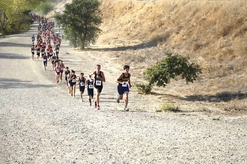 Cool Cross Country Photo