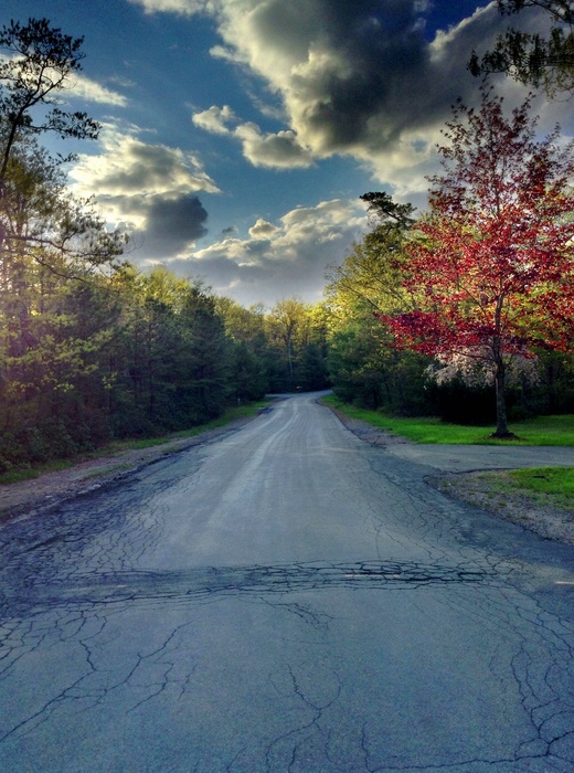 The Beauty of the Run