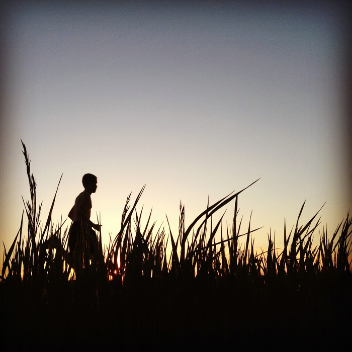 Solitude