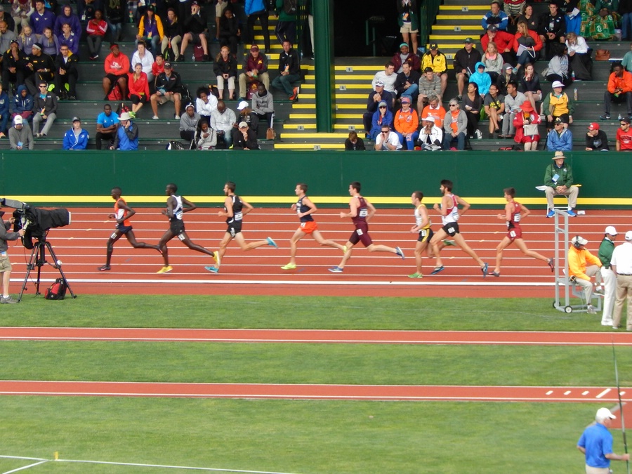Mens Steeple Semifinal