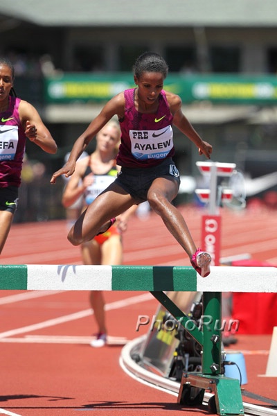 Hiwot Ayalew