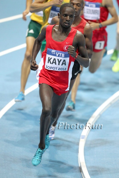 Ali Kaya