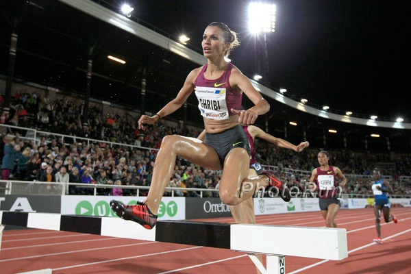 Habiba Ghribi