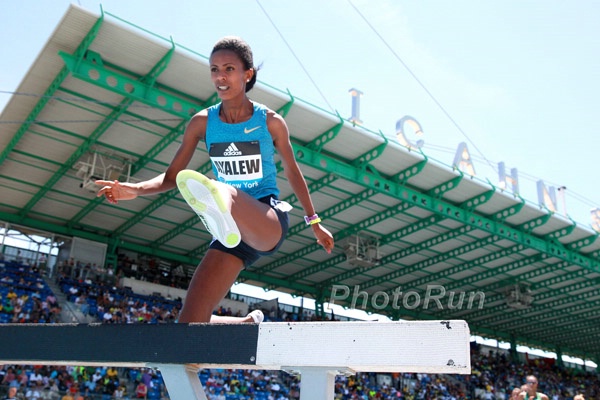 Women's Steeple