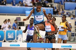 Hiwot Ayalew