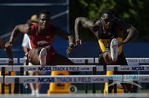 Omar McLeod of Arkansas (left) and Jordan Moore of LSU compete in a 110m hurdles