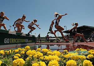 Women' Steeple