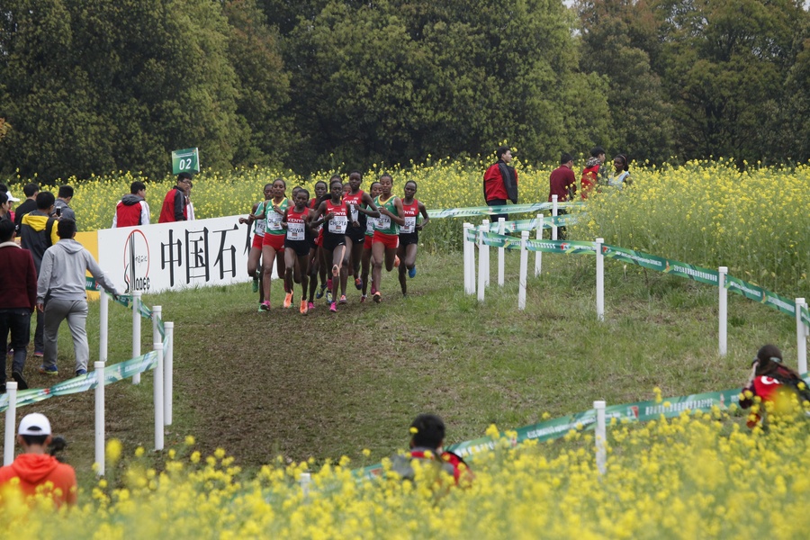 Cool Flowers at Women's Senior Race
© Getty Images for IAAF