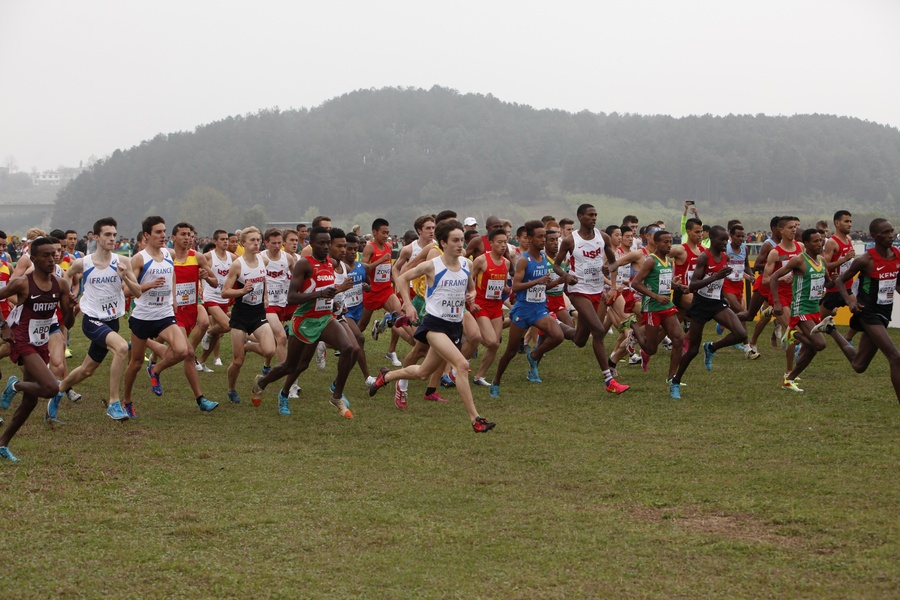 Junior Boys Race Start 
© Getty Images for IAAF