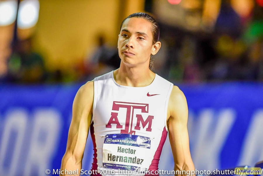 Men's 800m Final