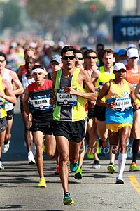 Fernando Cabada Leads