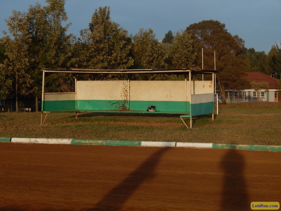 The Stands