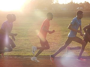 Kipchoge in Sunlight