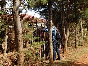 School kids on other side of fence from training camp