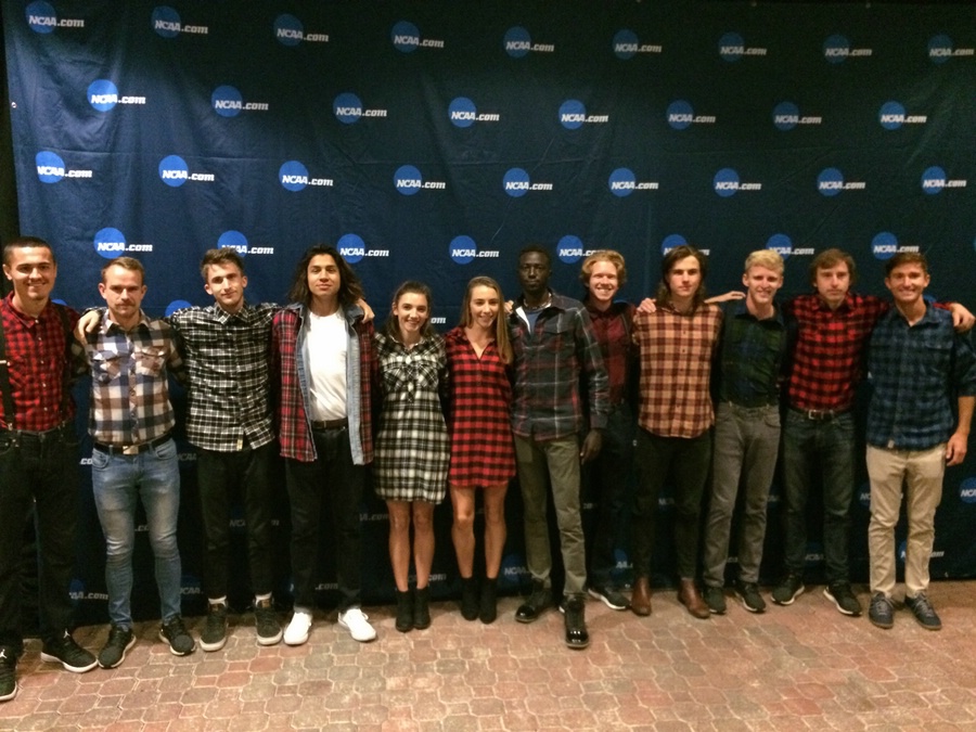 The Lumberjacks of Northern Arizona
