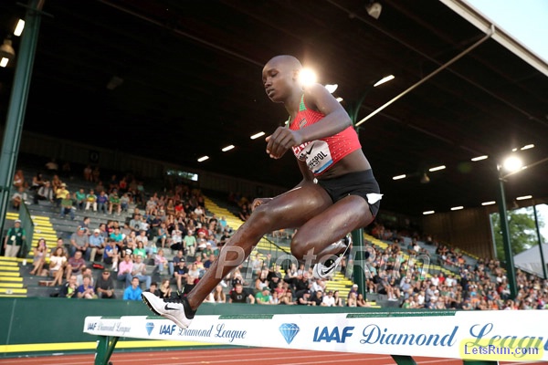 Celliphine Chespol a New Star