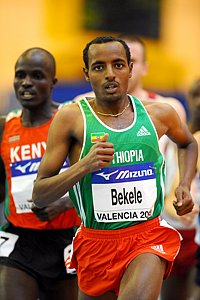 Bekele_TarikuQ1a-WIC08.jpg