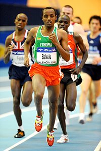 Bekele_TarikuQ1b-WIC08.jpg