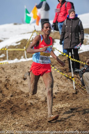 picture of Teklemariam Medhin