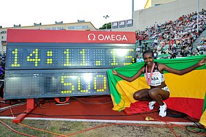 picture of Tirunesh Dibaba