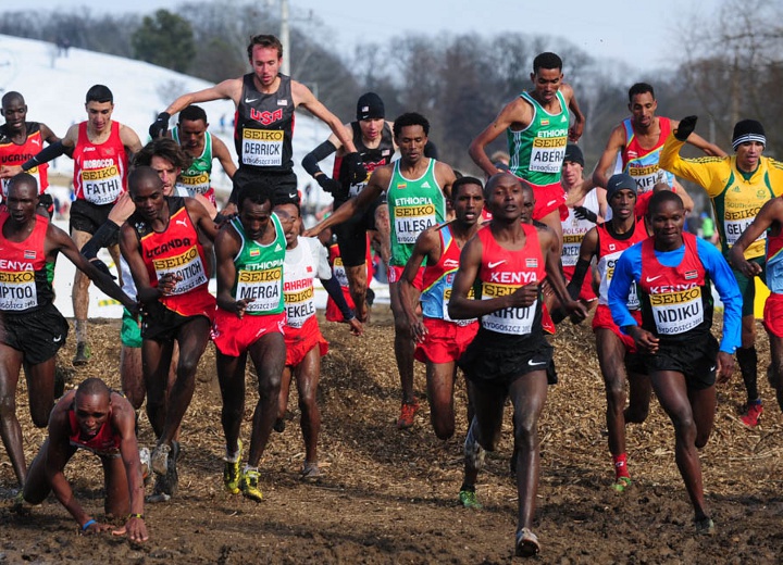 World Cross Country