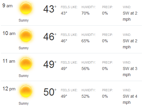Does a weather forecast get any better than this for a marathon? Mid to high 40s, sun and little wind.