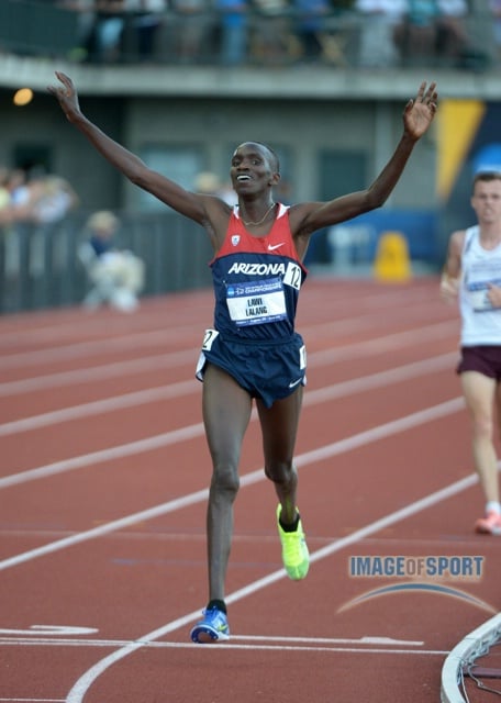 Lawi Lalang Made it Look Easy (Click On Photo for Thursday Photo Gallery)