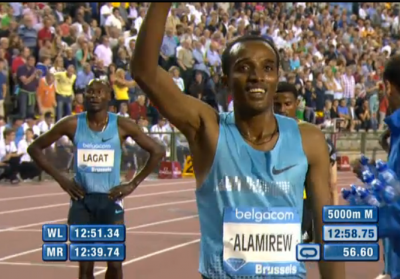 Alamirew blank