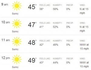 2013 NYC marathon forecast