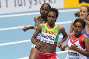 Genzebe Dibaba