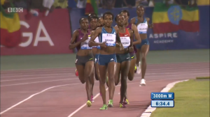 Dibaba leads after the rabbits stop