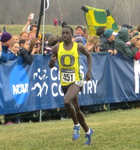 Edward Cheserek in the homestretch just before winning his second NCAA Division I Cross Country Title in Terre Haute, Ind. (photo by Chris Lotsbom for Race Results Weekly)