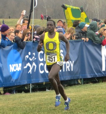 Oregon's Edward Cheserek was defeated at regionals last year before earning his second straight NCAA title eight days later (photo by Chris Lotsbom for Race Results Weekly)