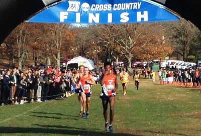 (left to right) Martin Hehir, Colin Bennie and Justyn Knight finishing third, second and first, respectively, at the NCAA Northeast Regional Cross Country Championships in Boston's Franklin Park on November 13, 2015 (Photo by Chris Lotsbom for Race Results Weekly)