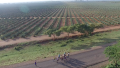 Overhead view of the race and the surrounding Kenyan lowlands