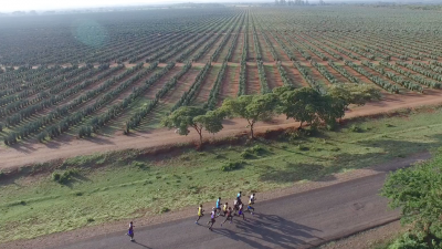Overhead view of the race and the surrounding Kenyan lowlands