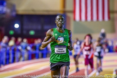 Cheserek cruised to the NCAA 5k title last year