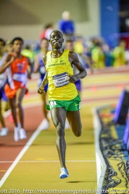 Cheserek completing his epic 3k-5k-DMR triple at NCAAs last year