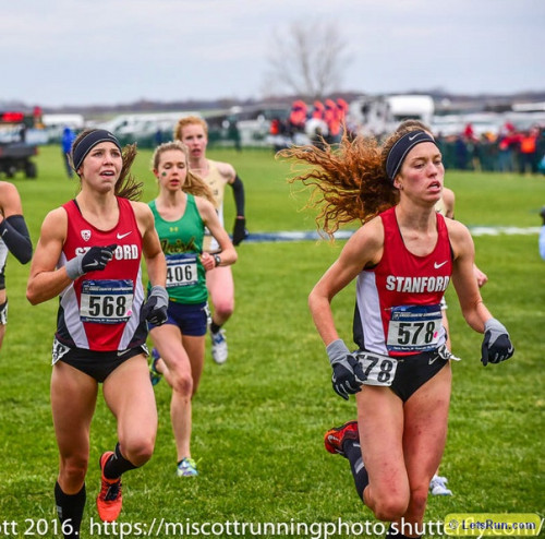 Aragon left and OKeeffe led the Cardinal as freshmen but they will have plenty of support in 2017