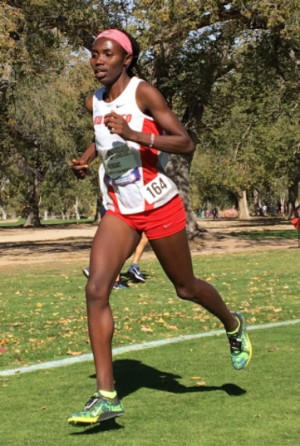 Kurgat will try to close out a perfect season with her first NCAA title