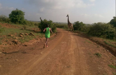 Nairobi National Park is home to all sorts of animals; here Ronald Ngigi waits for some giraffes to cross the road