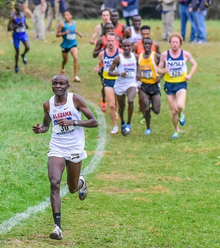 2018 NCAA Men’s XC Preview: #6 Alabama & #5 Iowa State - LetsRun.com