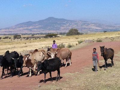 Some local kids on our run