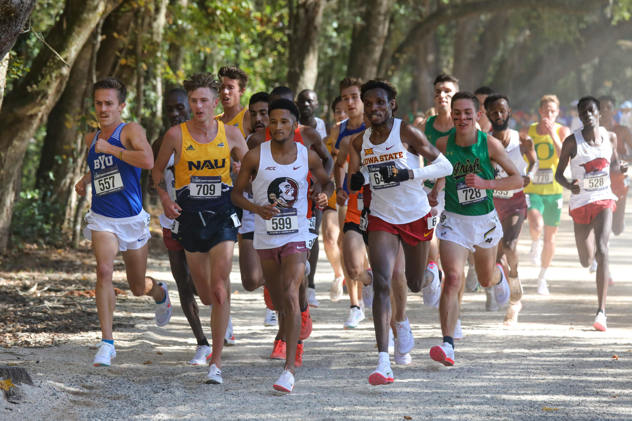 Here's Who's Going to the 2022 NCAA XC Championships (As of Now