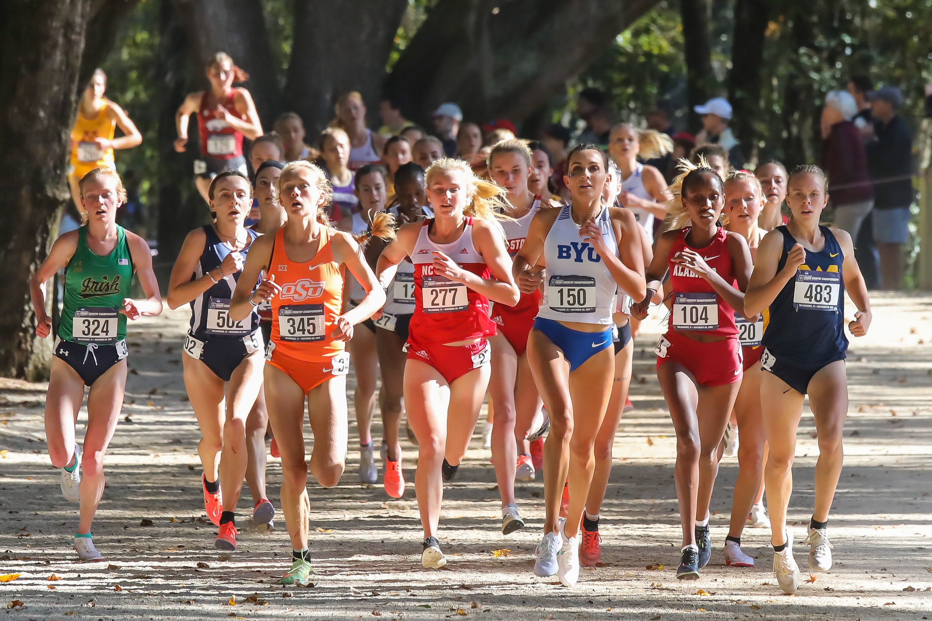 2022 NCAA Cross Country Championships Television and Streaming Information 