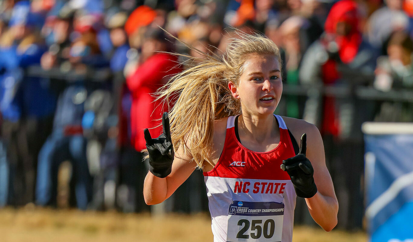 NCAA cross country national championships recap