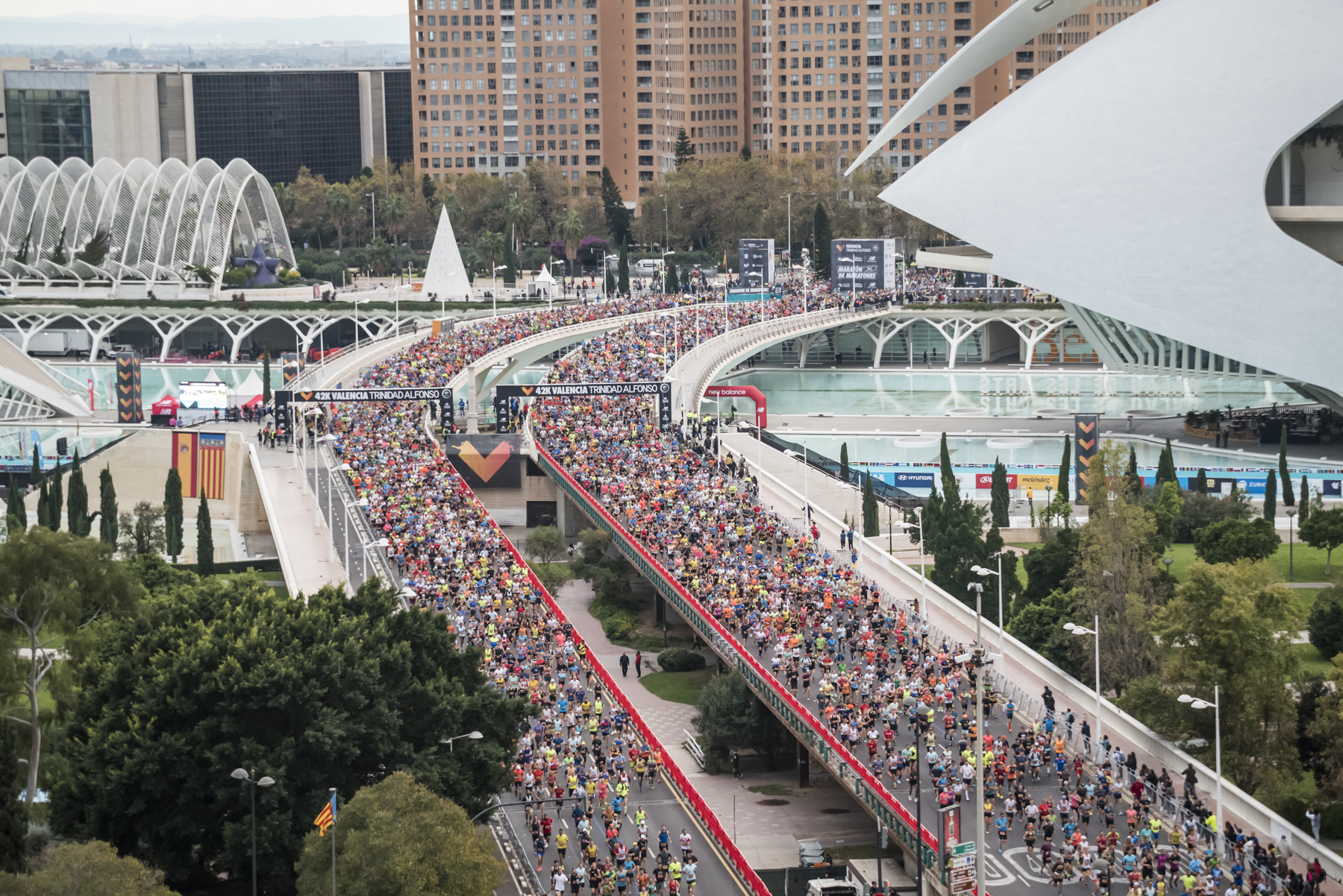 How Valencia Became the "Ciudad del Running"